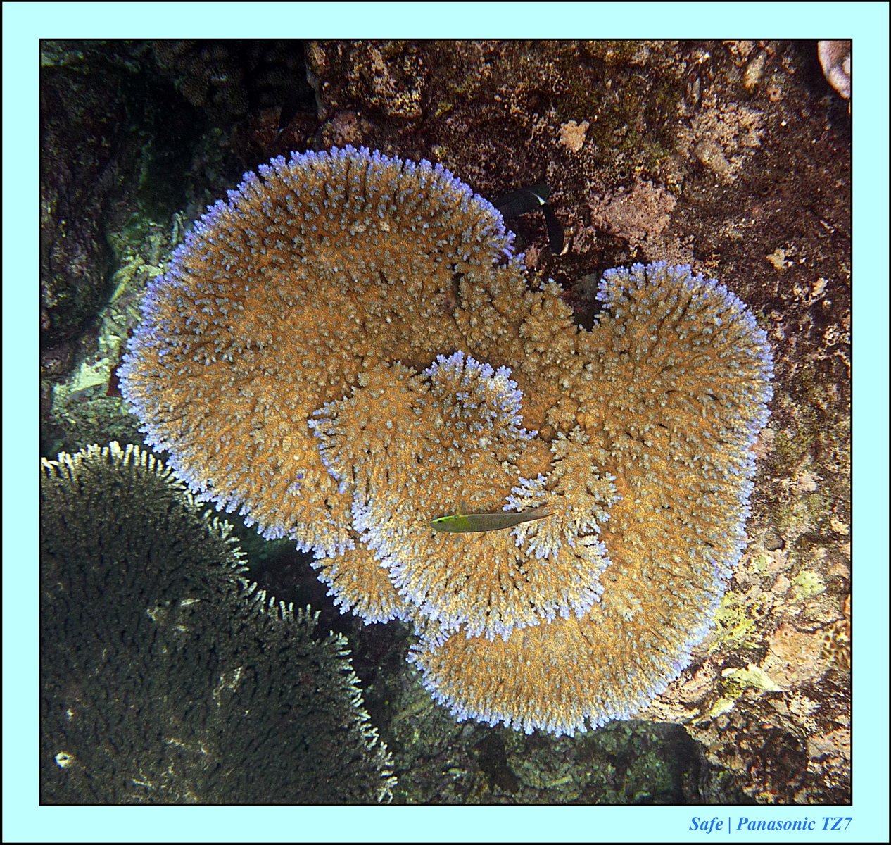 2012 - 07 - Gili - 68